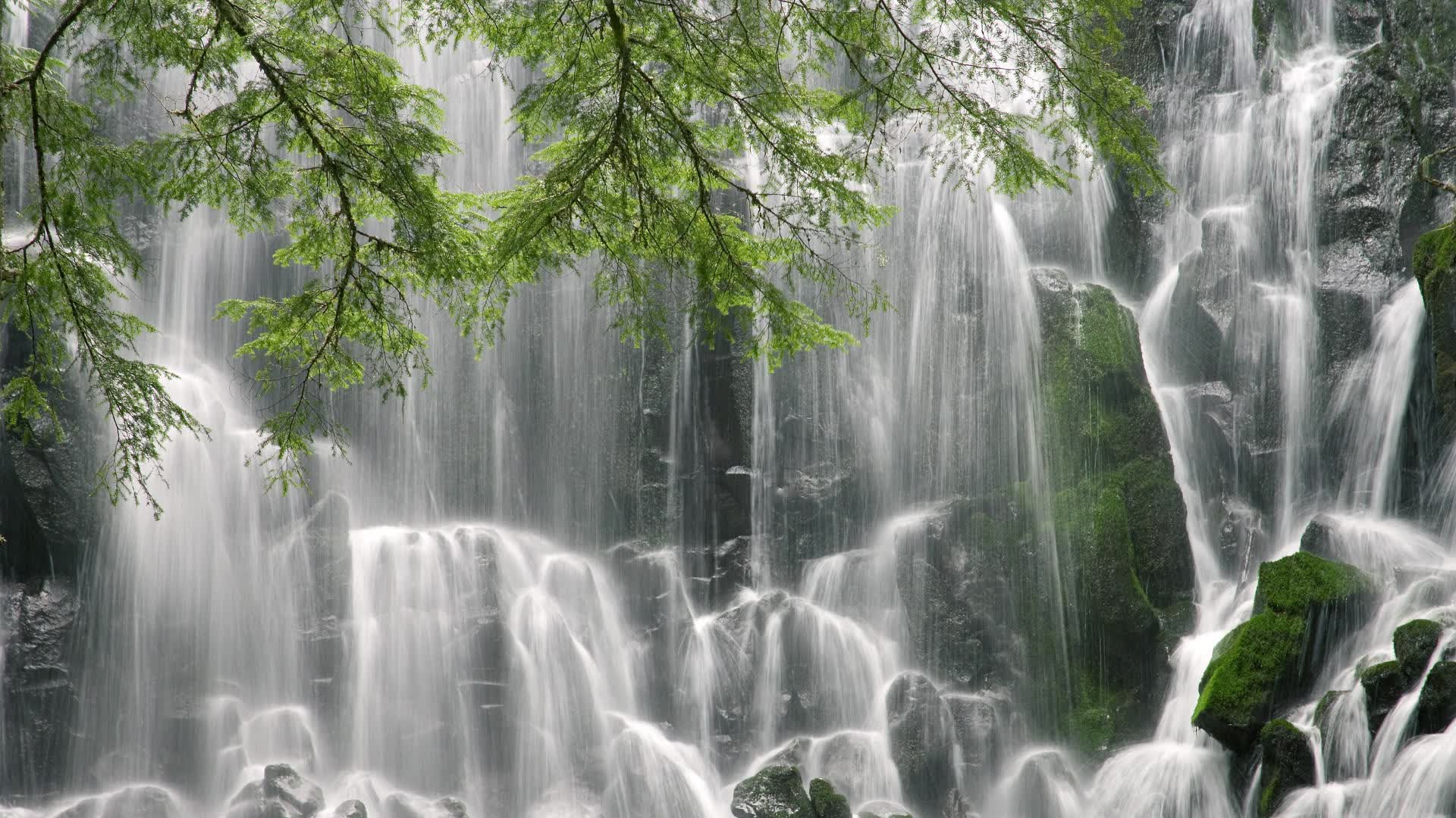 世界保龄球线上训练平台：数据反馈优化技战术调整，世界保龄球比赛冠军